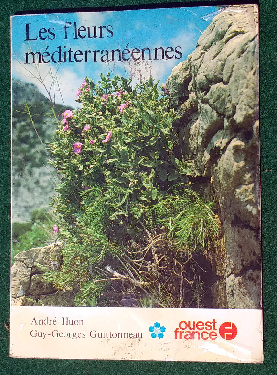 LES FLEURS MEDITERRANEENNES Image for LES FLEURS MEDITERRANEENNES