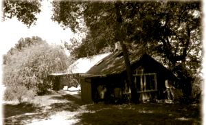 Woodcutter's Cottage