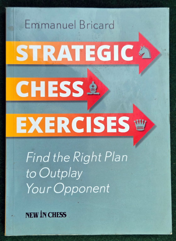 STRATEGIC CHESS EXERCISES : FIND THE RIGHT PLAN TO OUTPLAY YOUR OPPONENT
