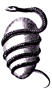 ophion